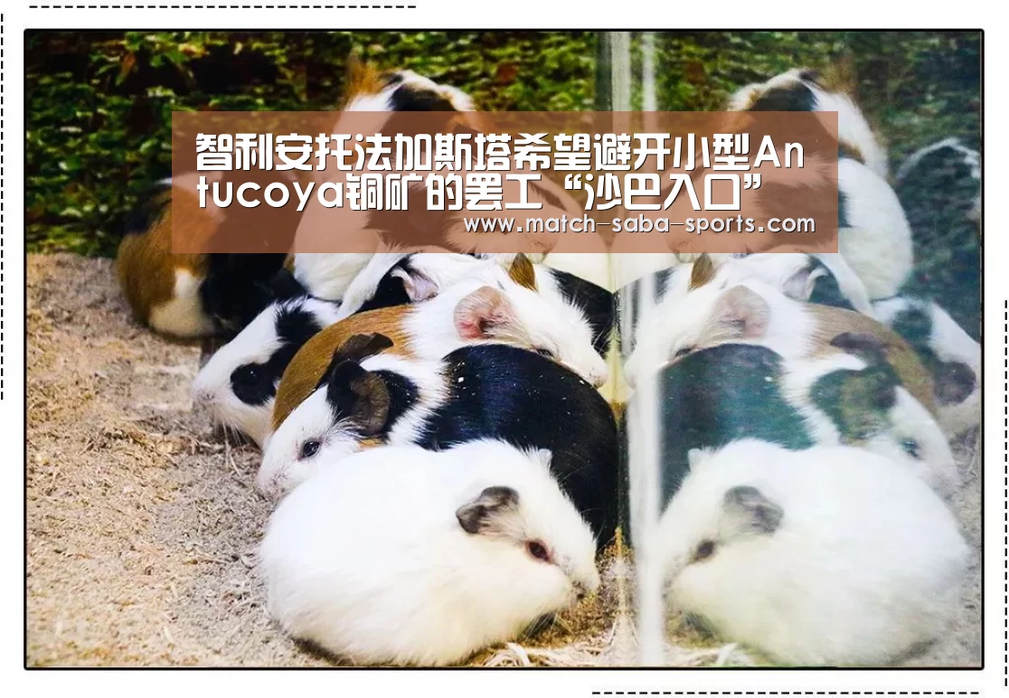 沙巴体育官网