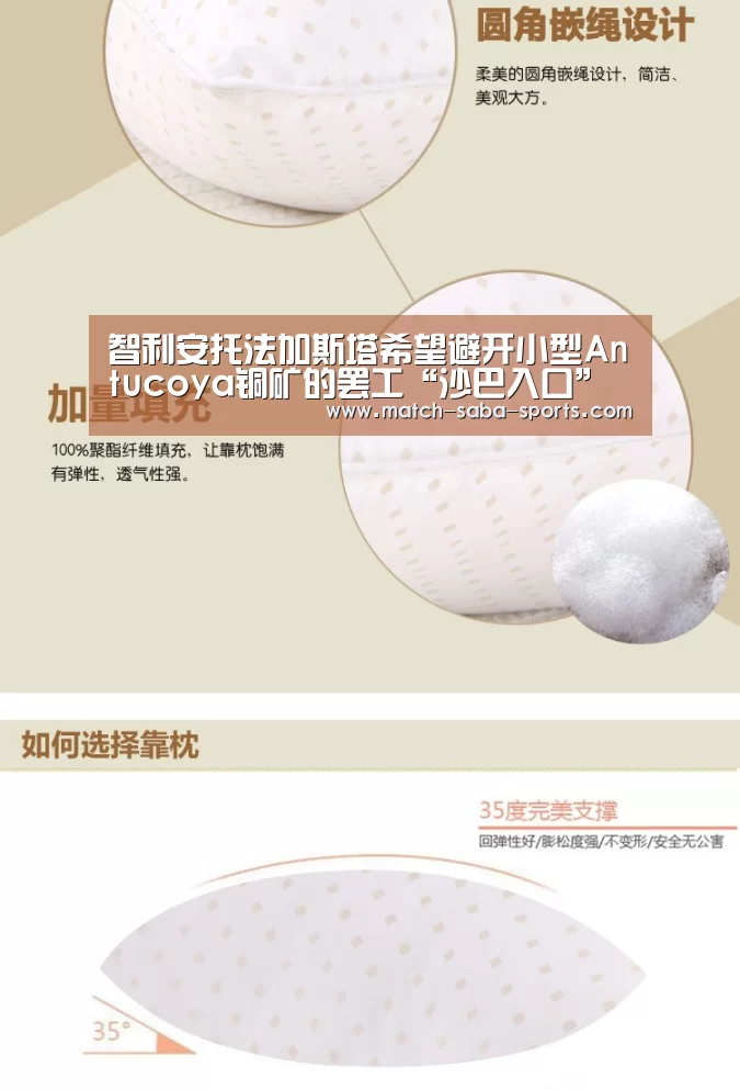 沙巴体育平台