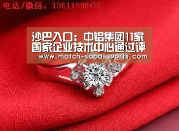 沙巴入口：中铝集团11家国家企业技术中心
