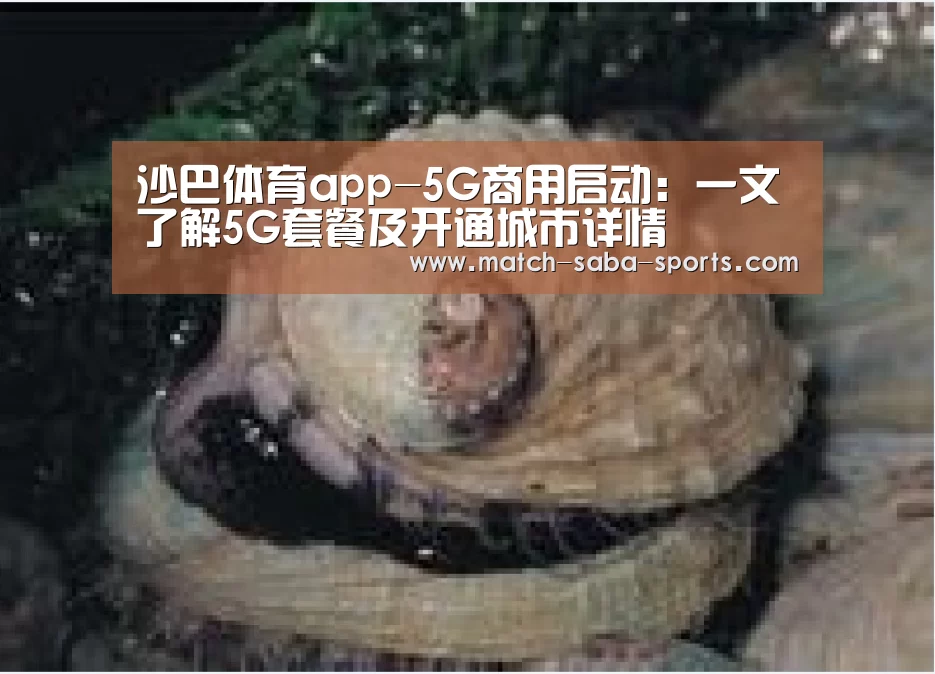 沙巴体育app-5G商用启动：一文了解5