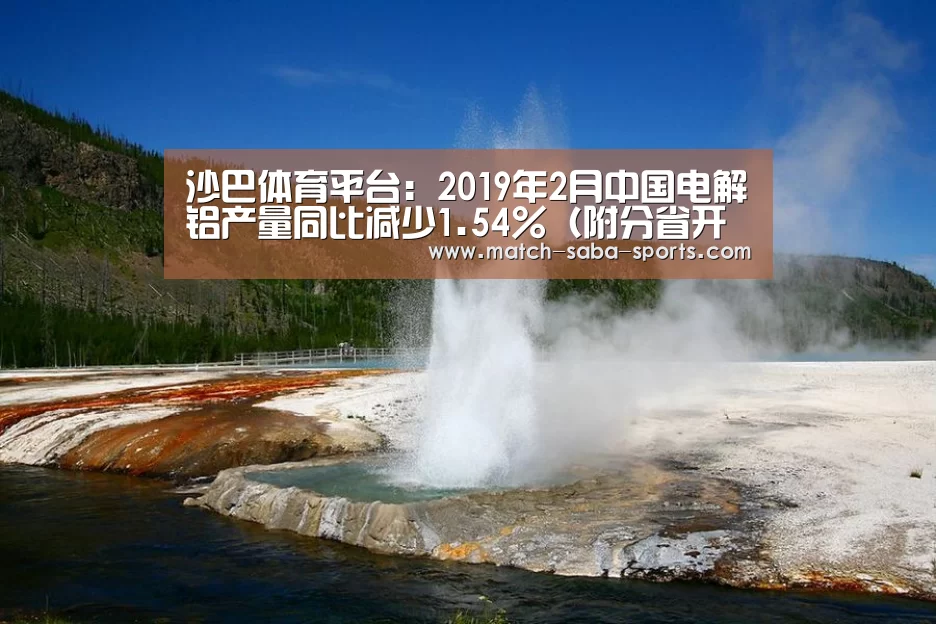 沙巴体育平台：2019年2月中国电解铝产