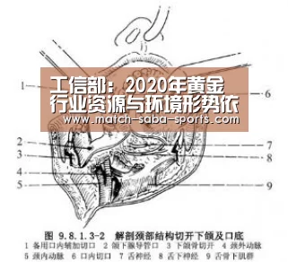 沙巴体育app